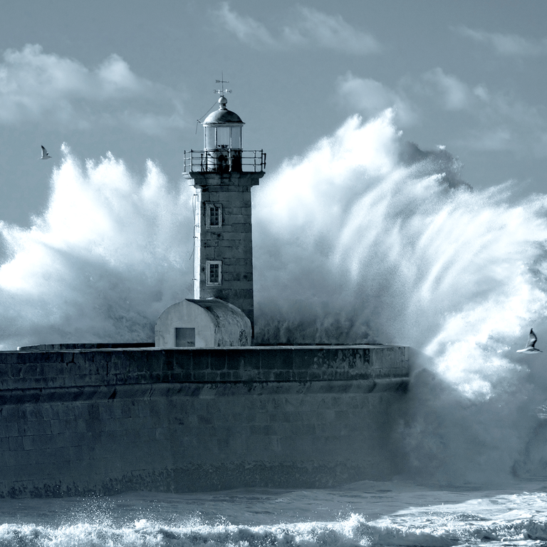 Wetterfest gegen Shitstorms: Aktives Reputations­management in Zeiten von Facebook und Co.